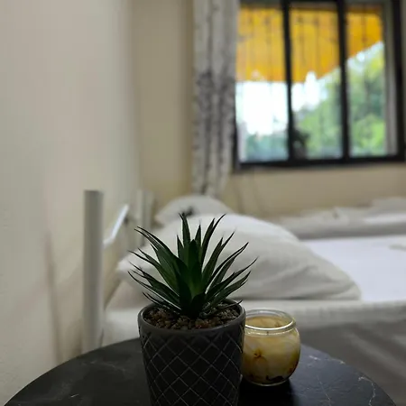 Royal Hotel Szkodra